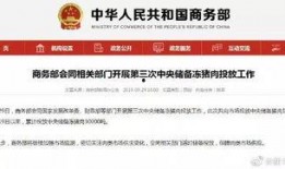 西安老六最新爆料新闻,最新爆料事件深度解析