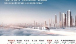 上海爆料新闻媒体是谁啊,追踪真相的力量