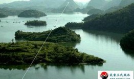 阿哈水库爆料视频大全下载,揭秘水库背后的惊人真相